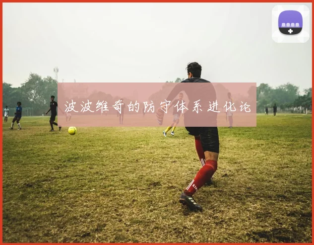 波波维奇的防守体系进化论
