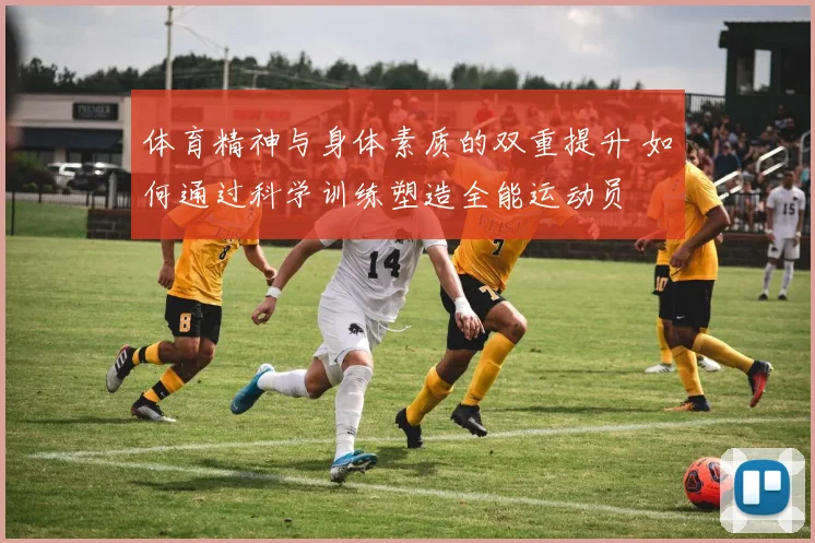 体育精神与身体素质的双重提升 如何通过科学训练塑造全能运动员